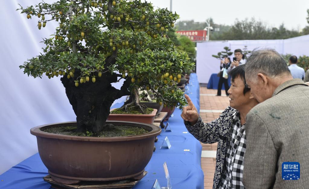 正规现金炸金花